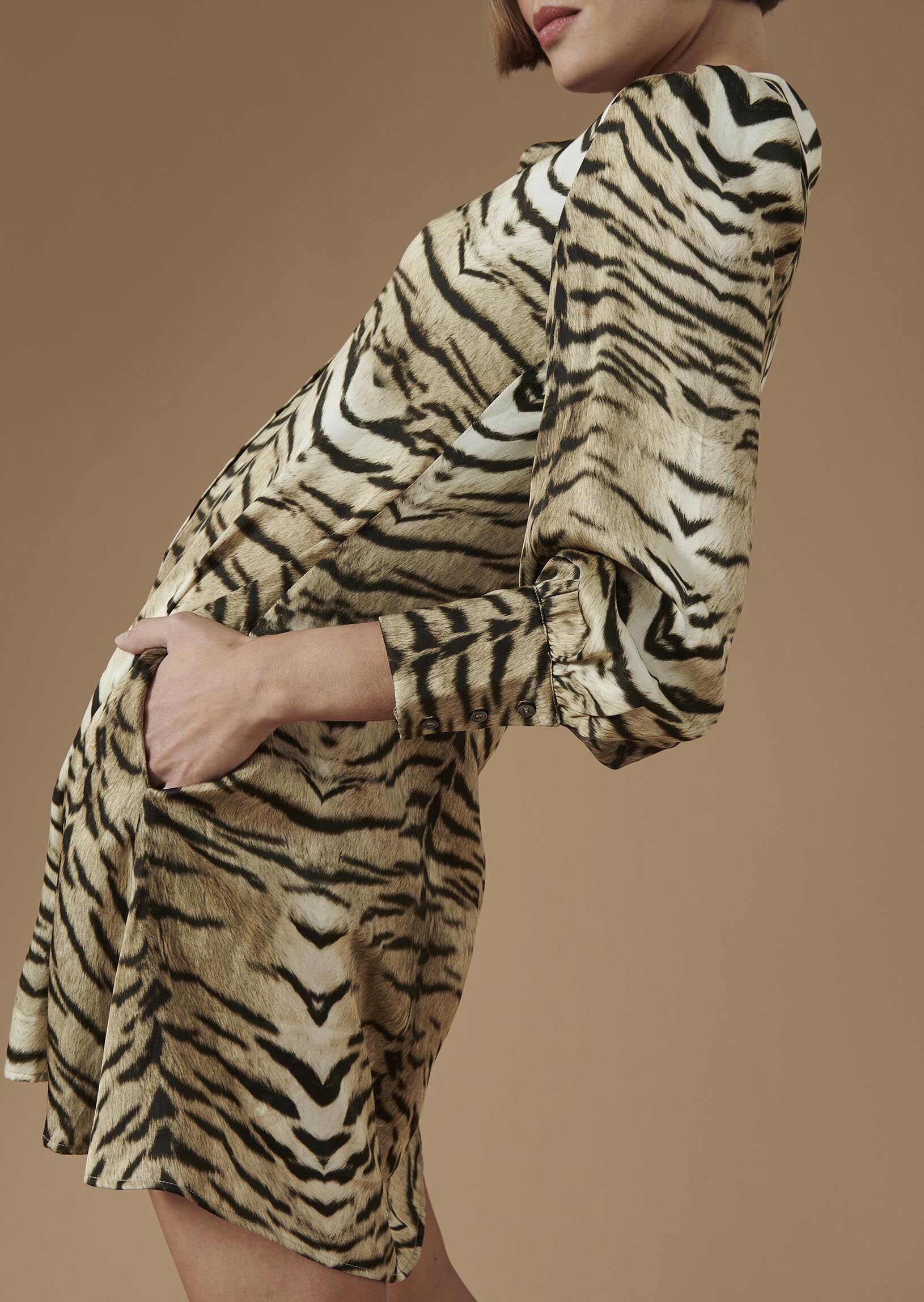 Robe Ryanna beige imprimé zèbre Faume - seconde main